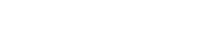 Chittam Technology Solutions, LLC